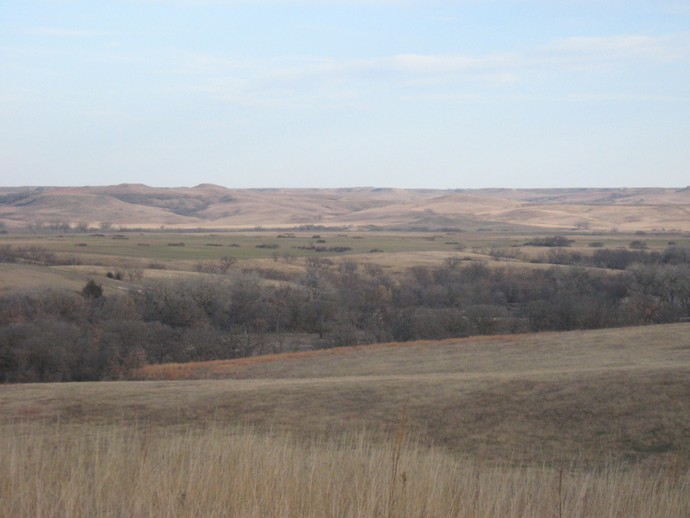 Pheasant hunting lodge, SD